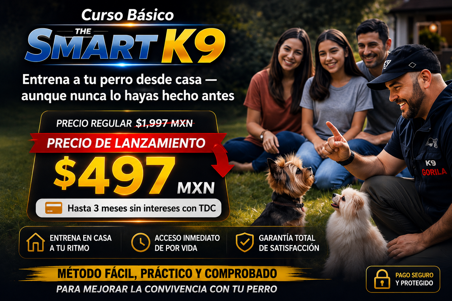 Curso Básico The Smart K9