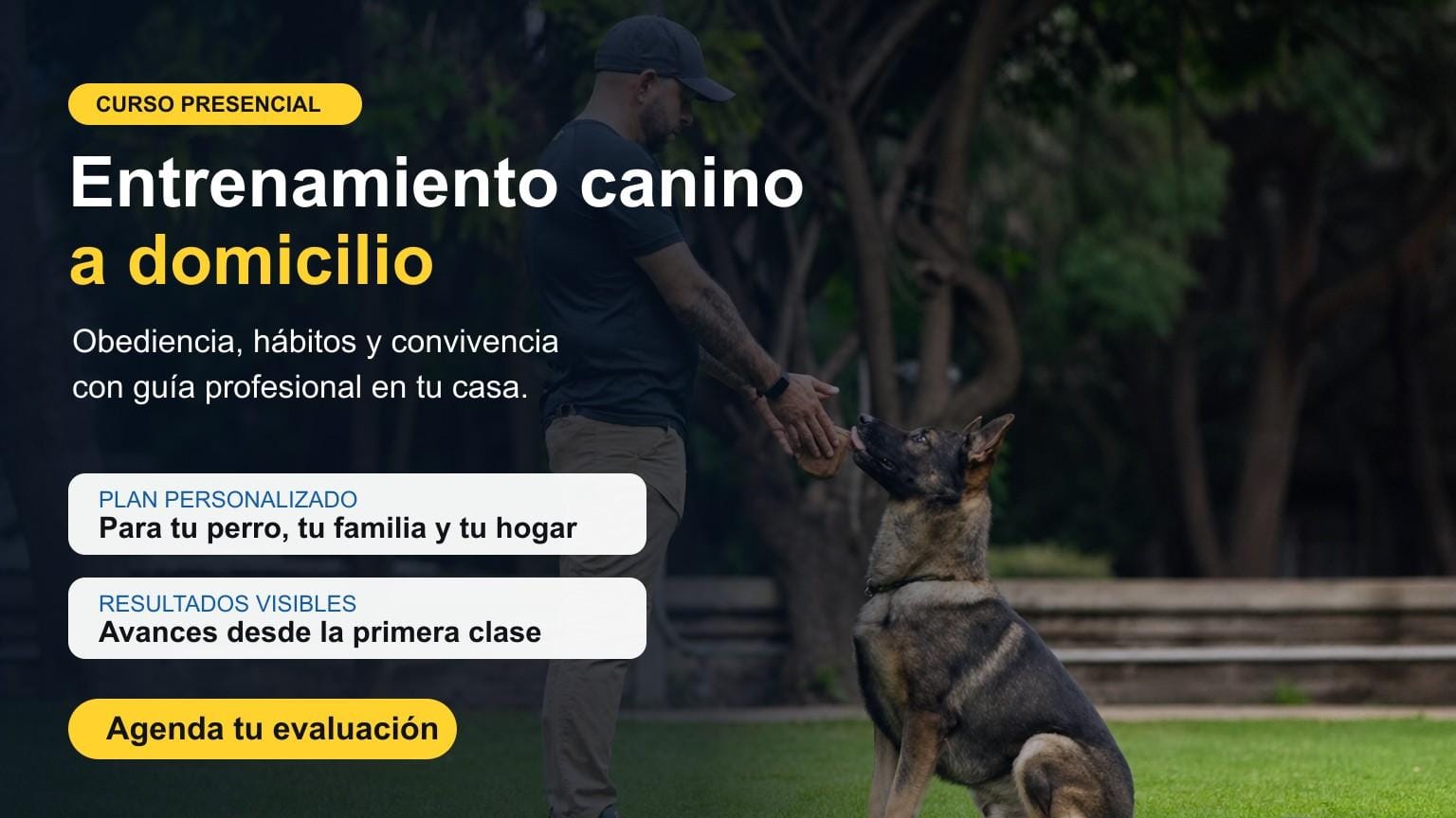 Entrenamiento canino a domicilio The Smart K9